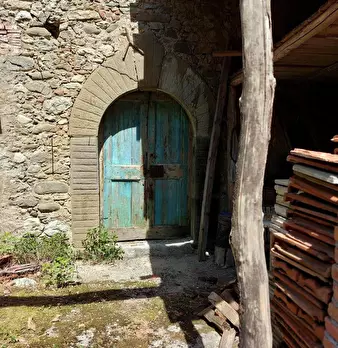 Foto annuncio 7