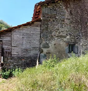 Foto annuncio 5