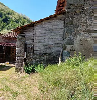 Foto annuncio 6