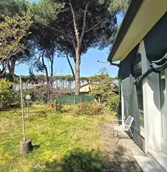 Foto annuncio 5