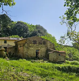 Foto annuncio 4