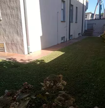 Foto annuncio 19