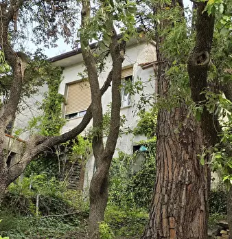 Foto annuncio 5