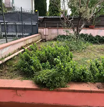 Foto annuncio 6