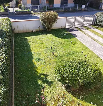 Foto annuncio 8