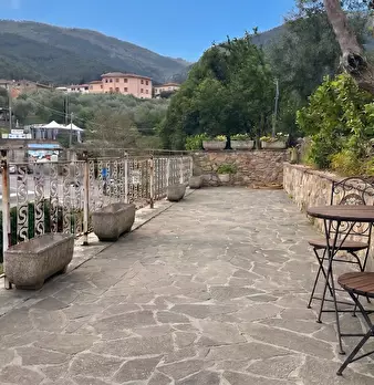 Foto annuncio 36