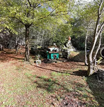 Foto annuncio 7