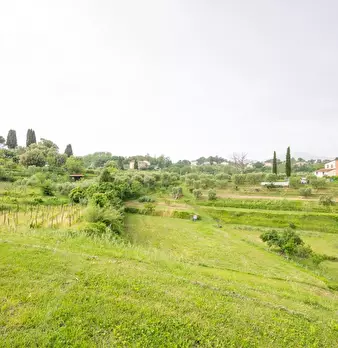 Foto annuncio 43