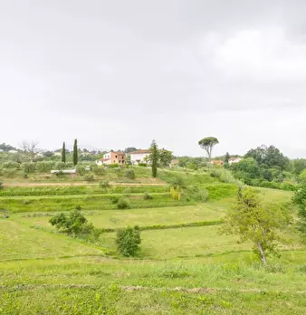 Foto annuncio 46