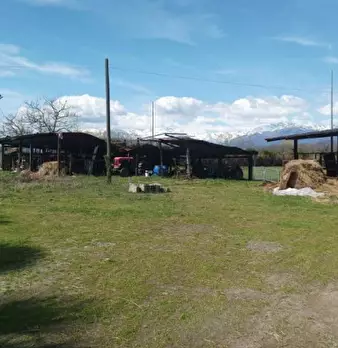 Foto annuncio 10