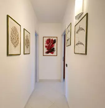 Foto annuncio 13
