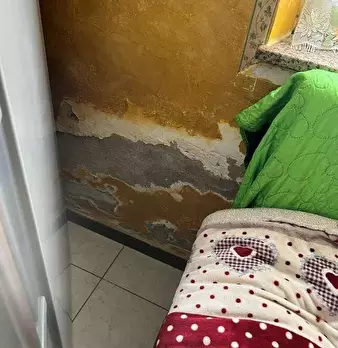 Foto annuncio 11