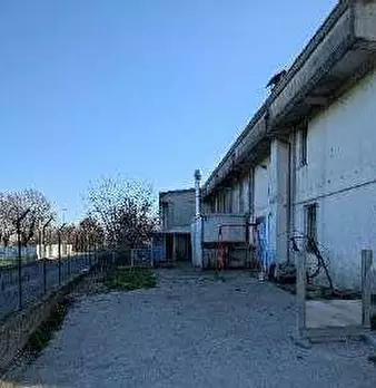 Foto annuncio 2