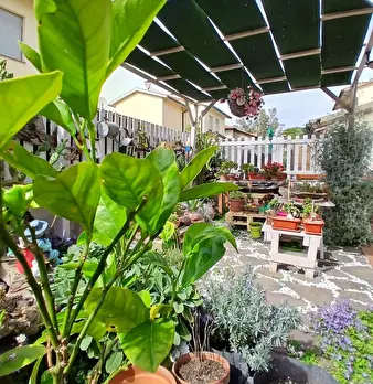 Foto annuncio 10