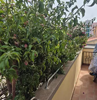 Foto annuncio 19