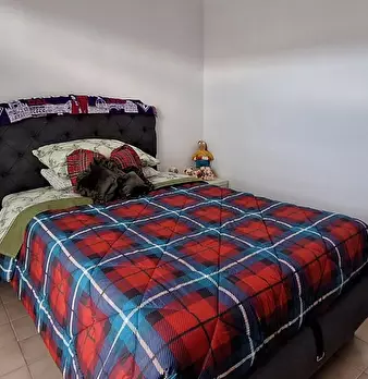 Foto annuncio 9