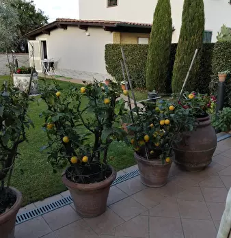 Foto annuncio 28