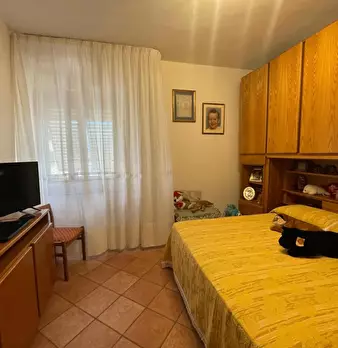 Foto annuncio 22