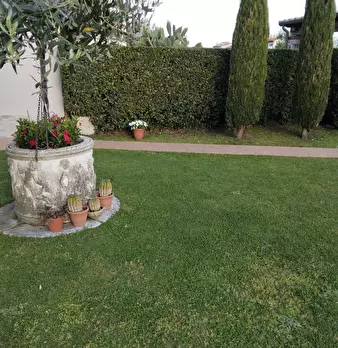 Foto annuncio 29