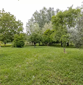 Foto annuncio 30