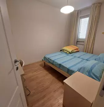 Foto annuncio 6