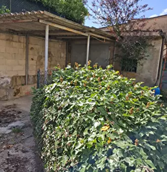 Foto annuncio 28