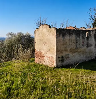 Foto annuncio 10