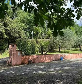 Foto annuncio 65