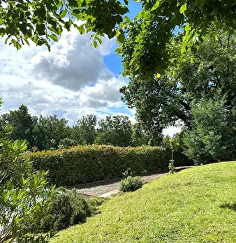 Foto annuncio 62