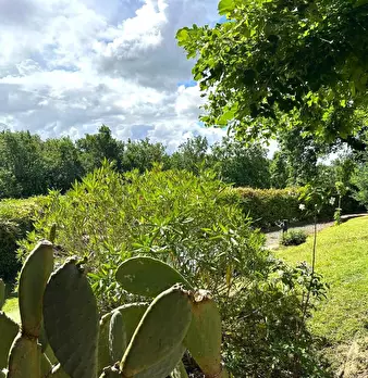 Foto annuncio 61