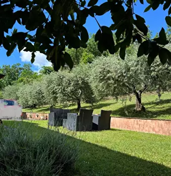 Foto annuncio 60