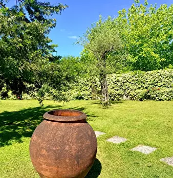 Foto annuncio 6