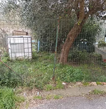 Foto annuncio 47