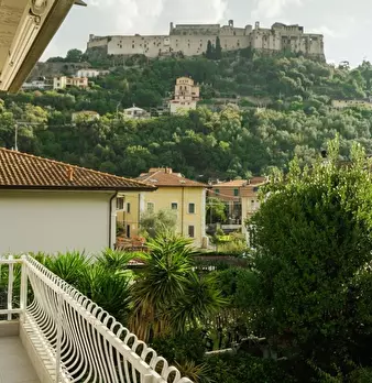 Foto annuncio 7