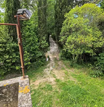 Foto annuncio 38