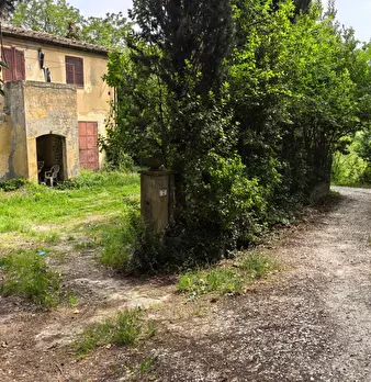 Foto annuncio 39
