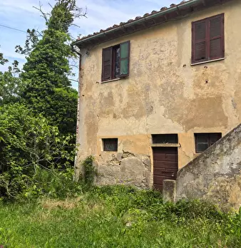 Foto annuncio 9