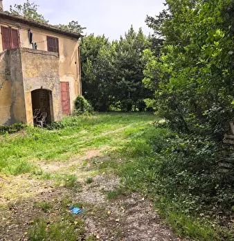 Foto annuncio 41