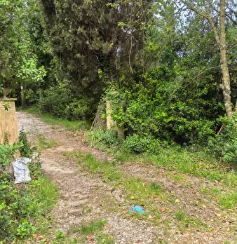 Foto annuncio 10