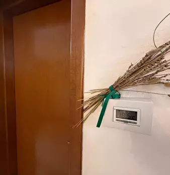 Foto annuncio 4