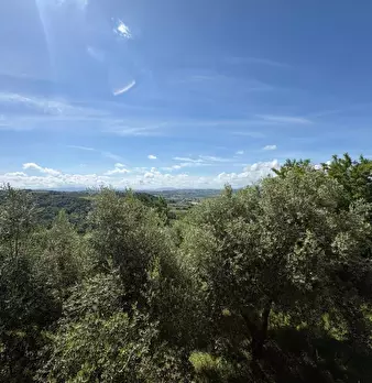 Foto annuncio 31