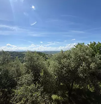 Foto annuncio 32