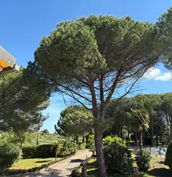 Foto annuncio 6
