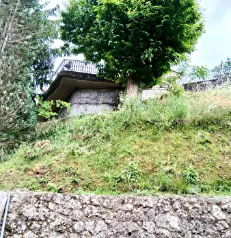 Foto annuncio 12