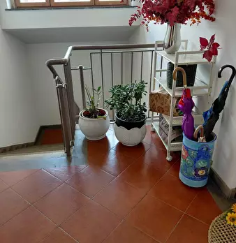 Foto annuncio 28