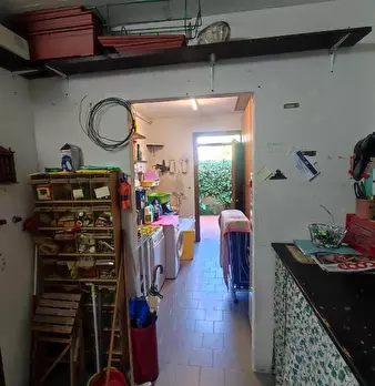 Foto annuncio 13