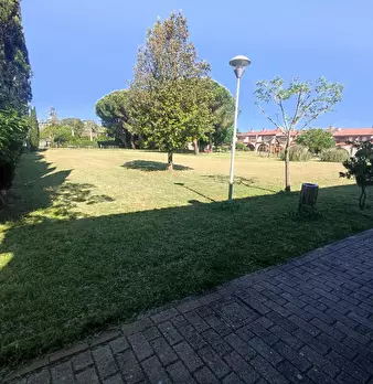 Foto annuncio 15