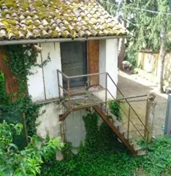 Foto annuncio 4