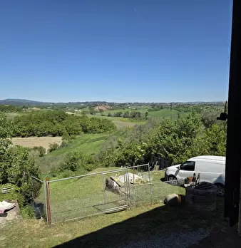 Foto annuncio 4