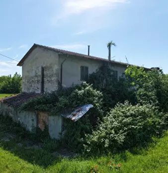 Foto annuncio 2